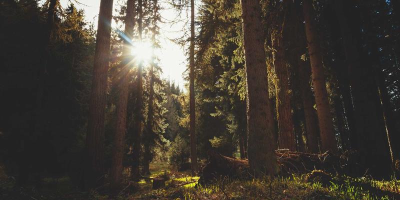 IT培训3.0时代：未来科技浪潮下的职业发展新路径