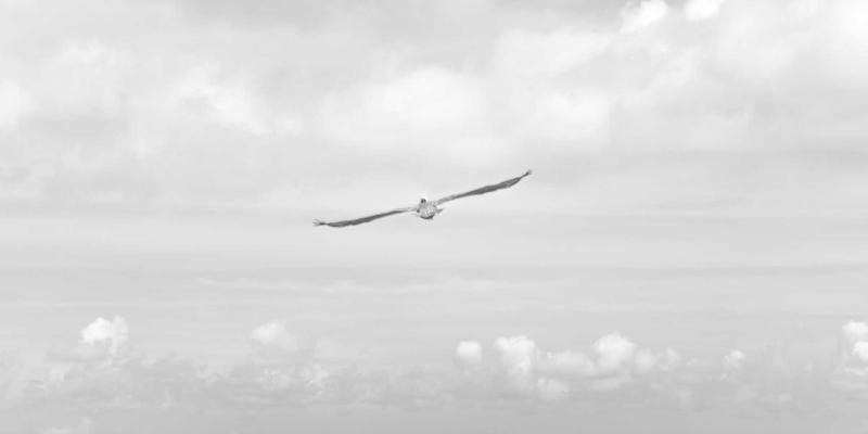 IT培训98：云计算、大数据与职业发展的黄金三角