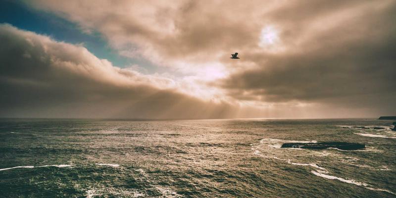 IT培训:掌握未来科技,赋能职业发展的技术引擎