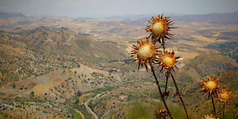 人工智能培训与技术培训深度评测：如何选择助力职业发展的IT机构