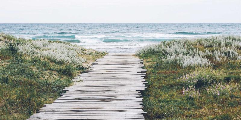 从渗透测试到安全运维：掌握云计算与编程的未来科技职业发展路径