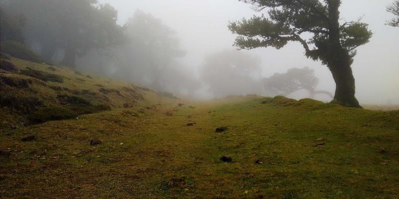 大数据时代网络安全攻防实战培训：构建从渗透测试到企业安全运维的完整技能体系