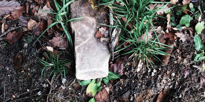 掌握Go语言高并发后端开发：云计算时代的核心IT技能与性能优化实践