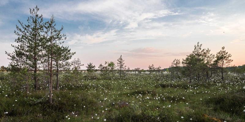 掌握IT技能与大数据：驾驭未来科技的三大核心路径