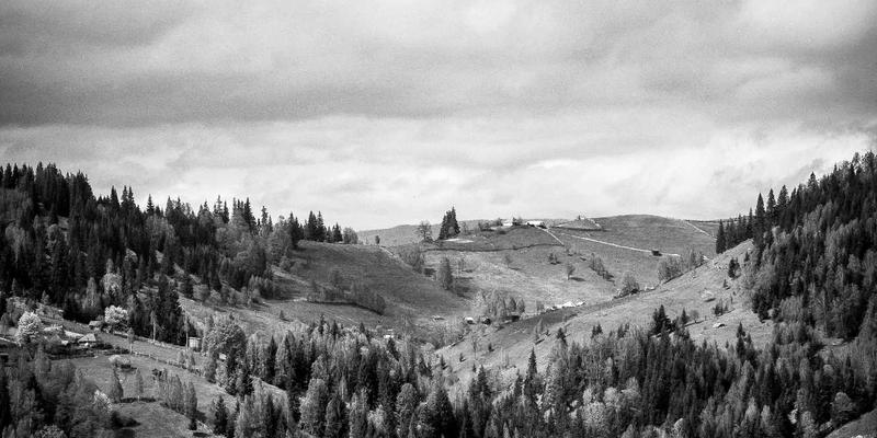 掌握IT技能与未来科技：如何高效利用IT培训拥抱云计算时代