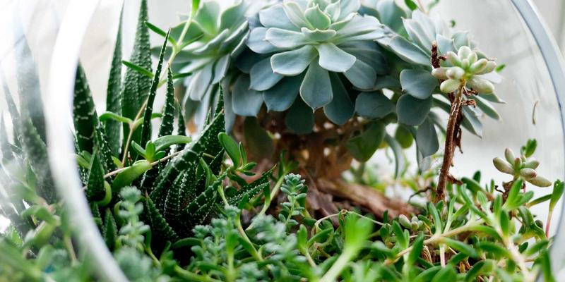 掌握Kubernetes与容器化技术：企业微服务架构部署实战IT培训指南