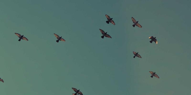 掌握未来科技：云计算时代全链路UI/UX设计培训的完整技能栈与职业发展