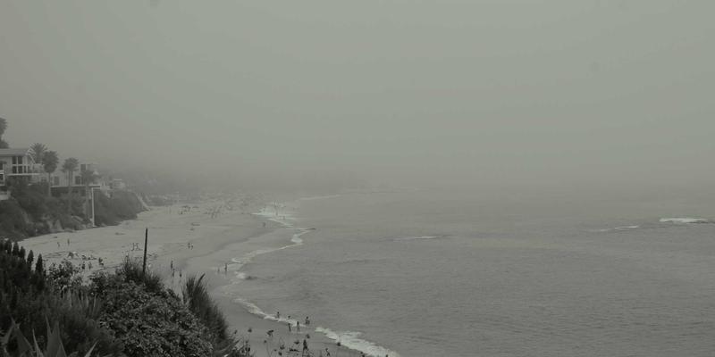 移动端开发进阶培训：Flutter跨平台开发与性能优化全解析，兼谈网络安全与AI融合趋势