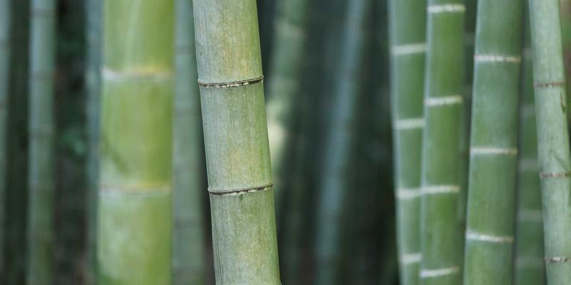 金融科技IT人才专项培训：掌握区块链与量化交易系统开发的核心技能